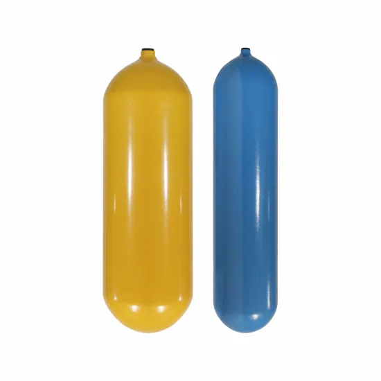 Wholesale Hot Sale Top Quality Portable Various Volumes CNG Tank Gas Cylinder